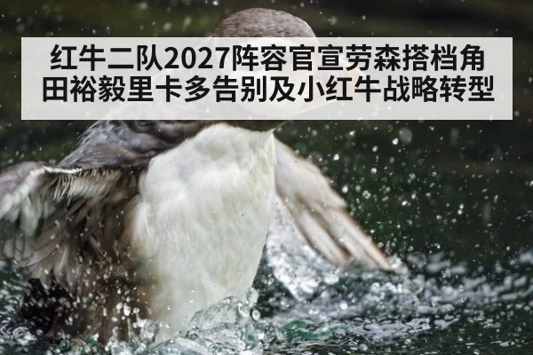 红牛二队2027阵容官宣劳森搭档角田裕毅里卡多告别及小红牛战略转型